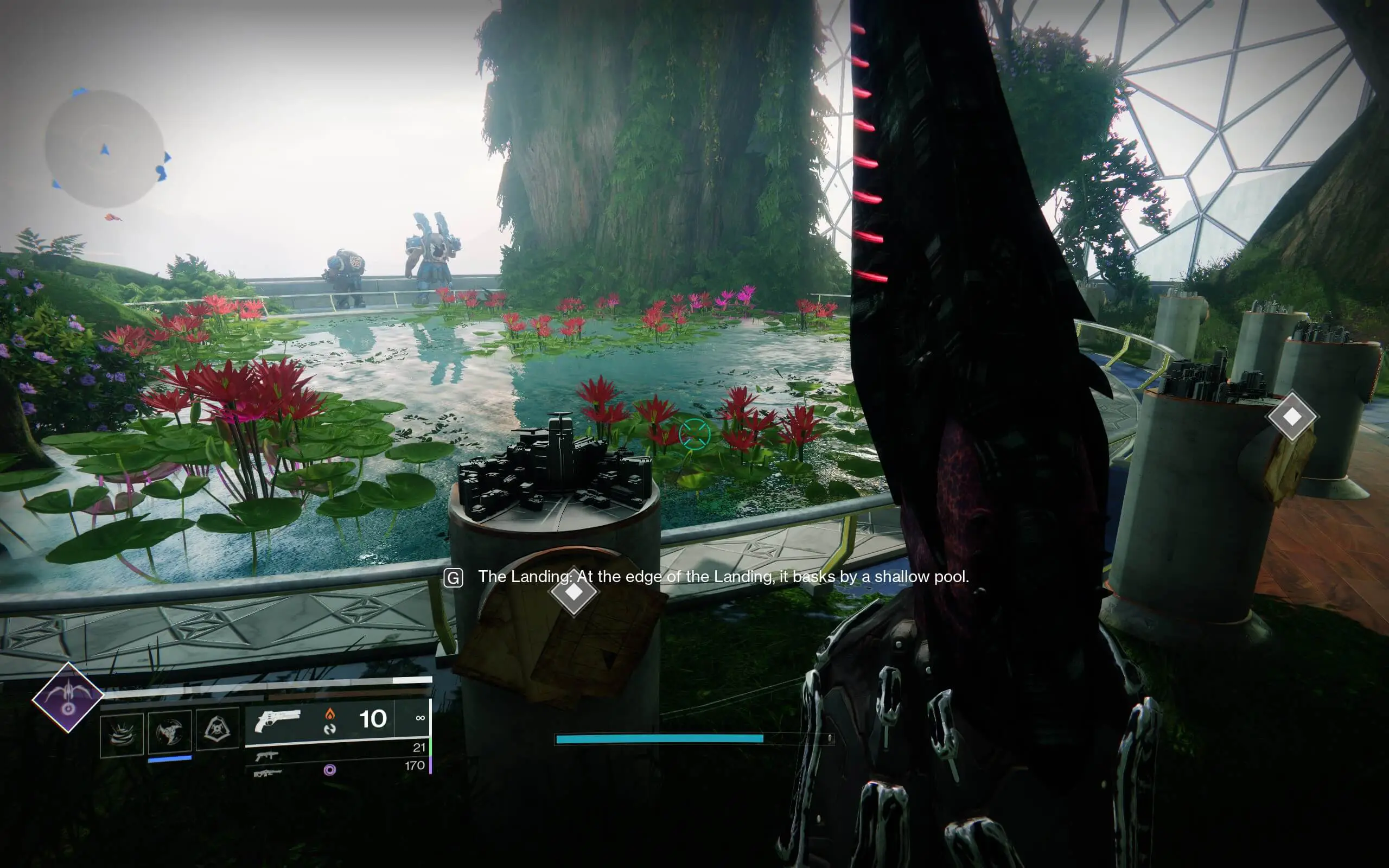 How to get Motes of Light in Destiny 2