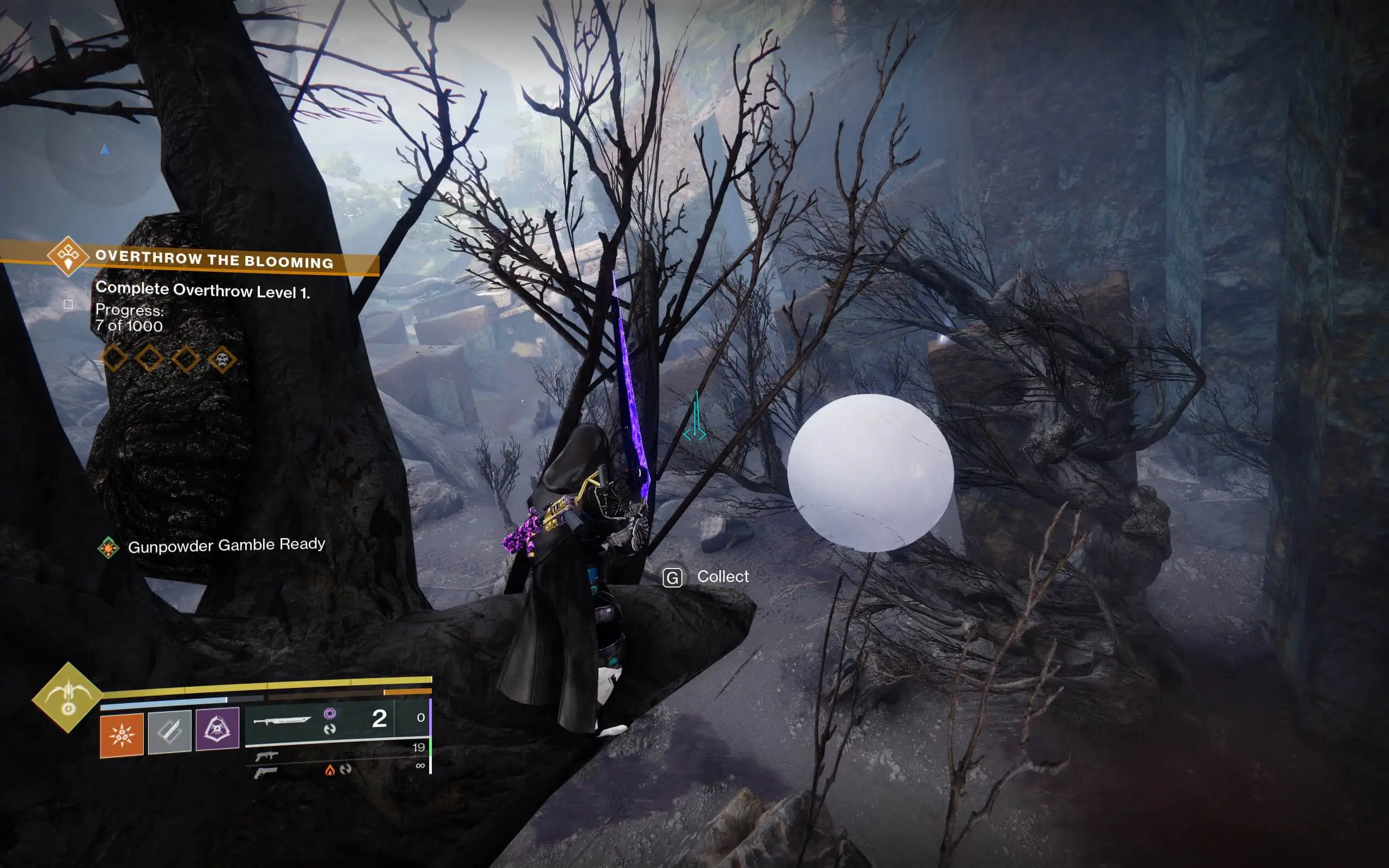 How to get Motes of Light in Destiny 2